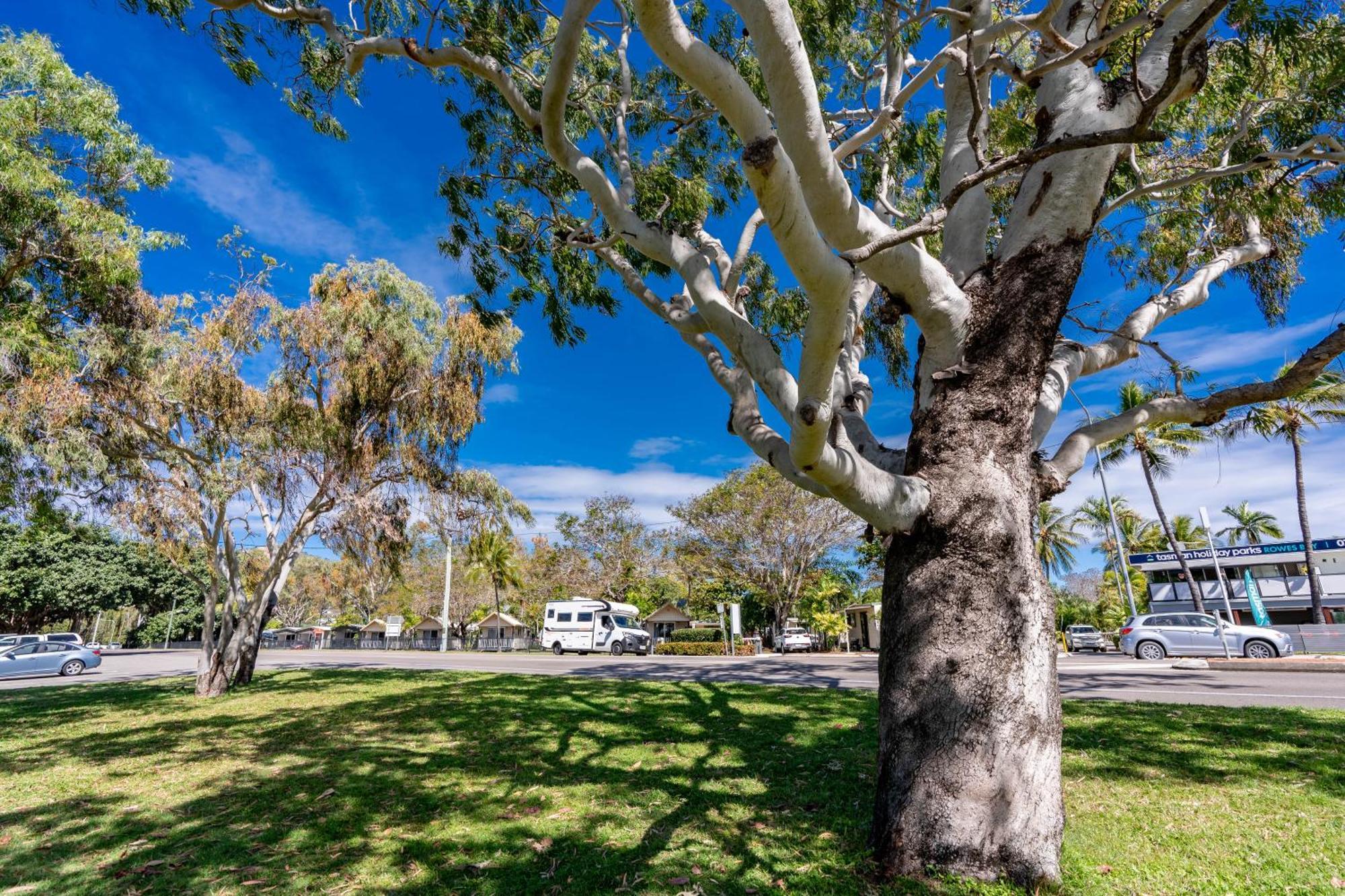 Big4 Tasman Holiday Parks - Rowes Bay Townsville Esterno foto